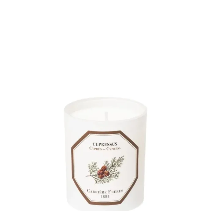 Carrière FrèresCyprès - Cupressus Bougie Parfumée