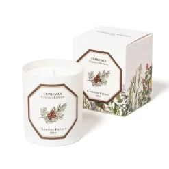 Carrière FrèresCyprès - Cupressus                Bougie Parfumée