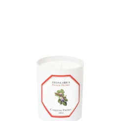 Carrière FrèresFiguier - Ficus Carica Bougie Parfumée