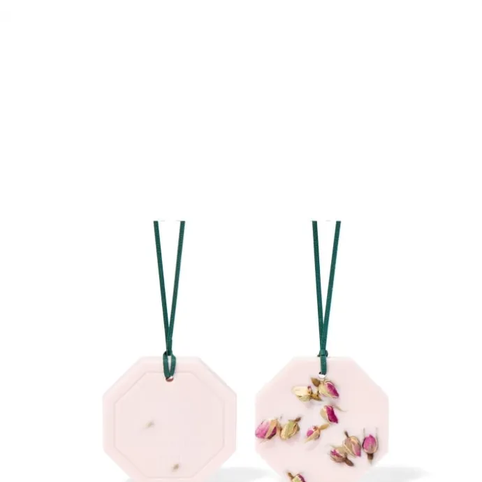 Carrière FrèresLa Rose Aime la Menthe Palet Botanique