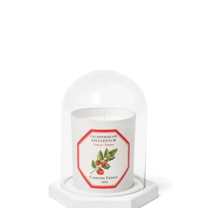 Carrière FrèresLe Dome - Socle & Cloche Coffret Accessoires