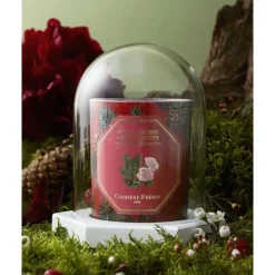 Carrière FrèresLe Dome - Socle & Cloche Coffret Accessoires