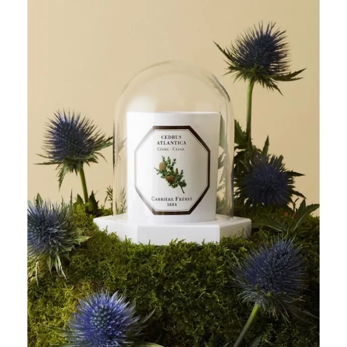 Carrière FrèresLe Dome - Socle & Cloche Coffret Accessoires