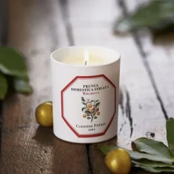 Carrière FrèresMirabelle - Prunus Domestica Syrica                Bougie Parfumée