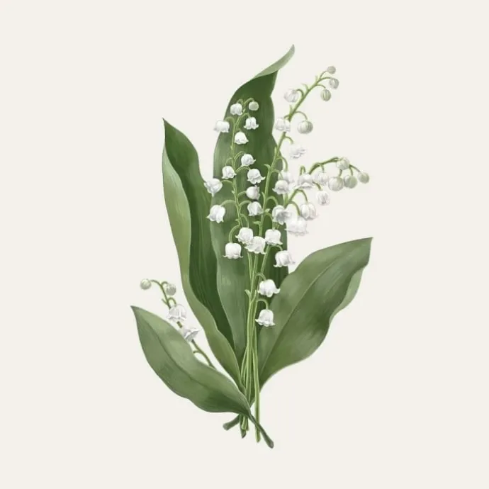 Carrière FrèresMuguet - Majalis Bougie Parfumée