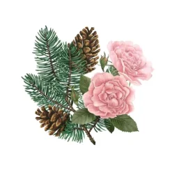 Carrière FrèresPin de Sibérie & Rose d'Hiver                Palet Botanique