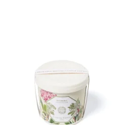 Carrière FrèresPlumeria - Frangipanier Recharge Bougie Parfumée