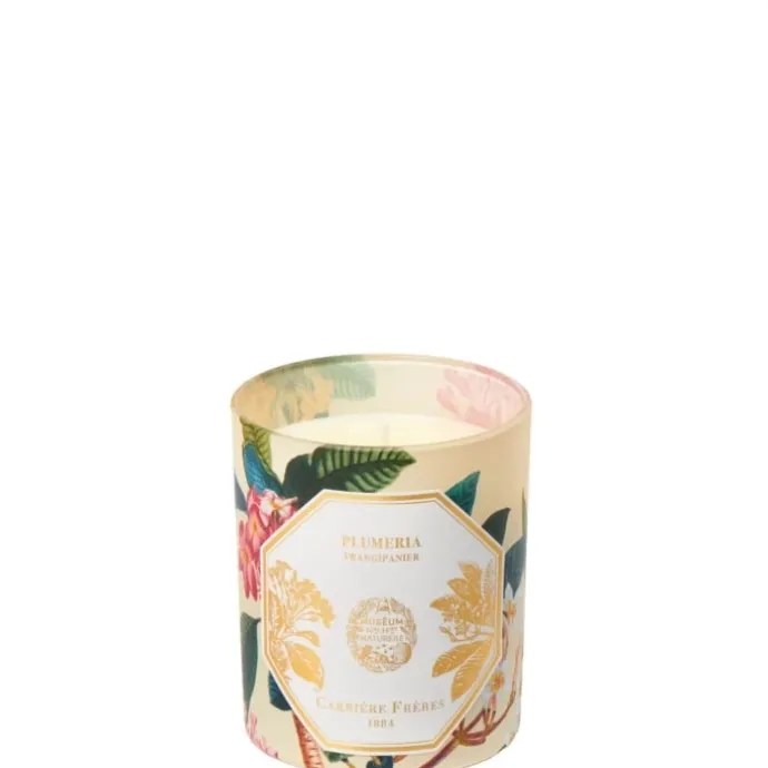 Carrière FrèresPlumeria - Frangipanier Bougie Parfumée