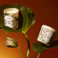 Carrière FrèresPlumeria - Frangipanier Bougie Parfumée