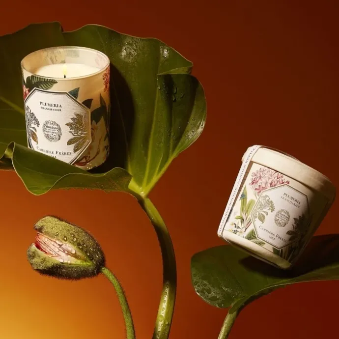 Carrière FrèresPlumeria - Frangipanier Bougie Parfumée