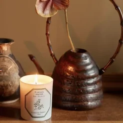 Carrière FrèresThé - Camelia Sinensis Bougie Parfumée