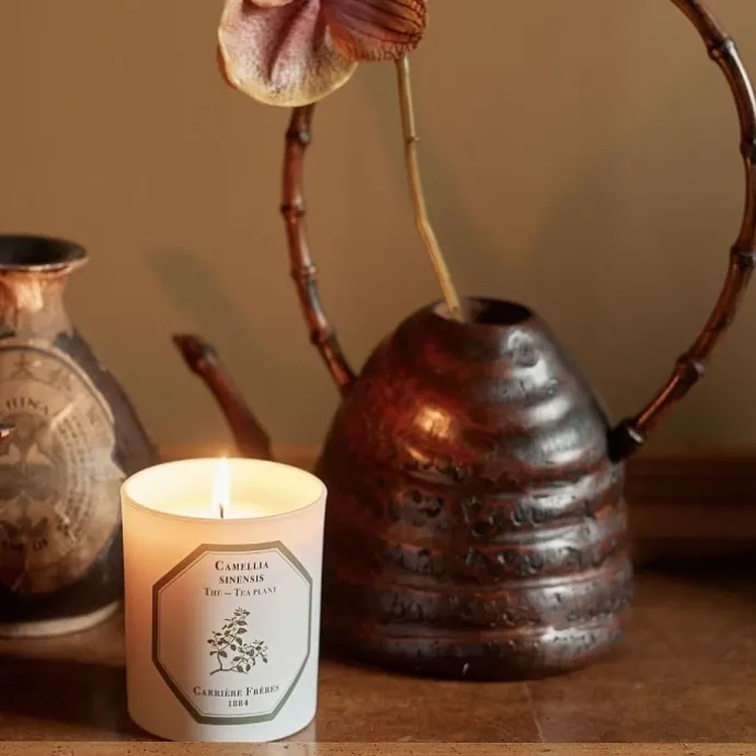 Carrière FrèresThé - Camelia Sinensis Bougie Parfumée