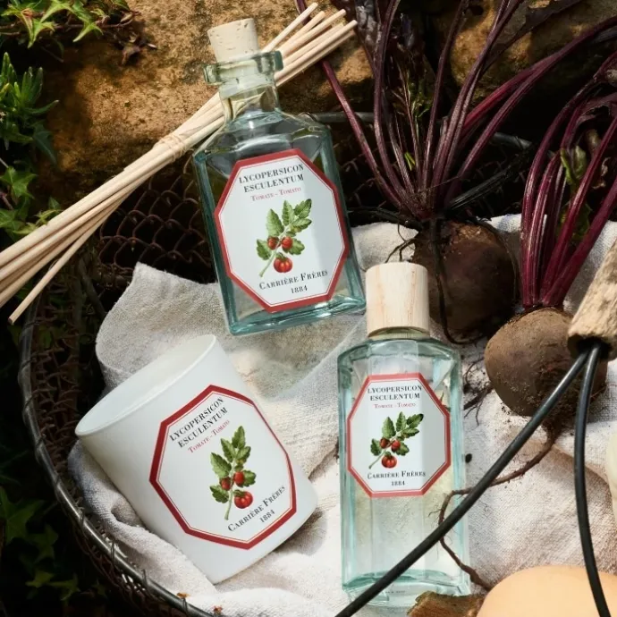 Carrière FrèresTomate - Lycopersicon Esculentum Diffuseur de Parfum
