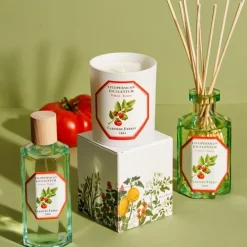 Carrière FrèresTomate - Lycopersicon Esculentum Diffuseur de Parfum