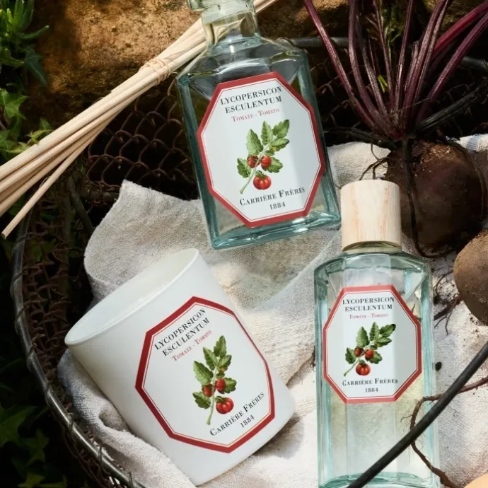 Carrière FrèresTomate - Lycopersicon Esculentum Diffuseur de Parfum