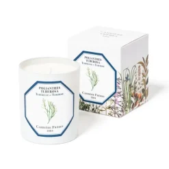 Carrière FrèresTubéreuse - Polientes Tuberosa                Bougie Parfumée