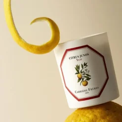 Carrière FrèresYuzu - Citrus Junos Bougie Parfumée