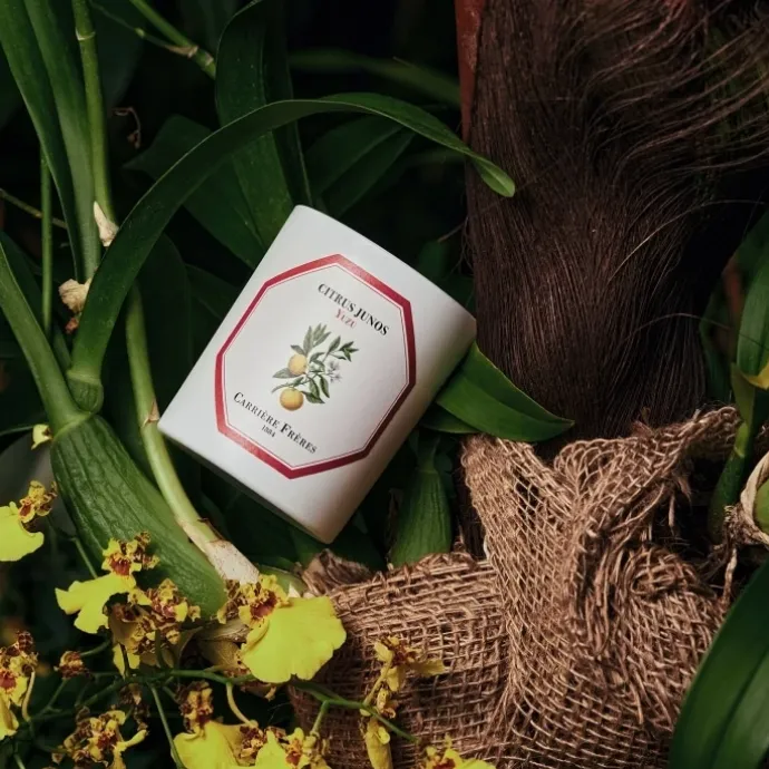 Carrière FrèresYuzu - Citrus Junos Bougie Parfumée