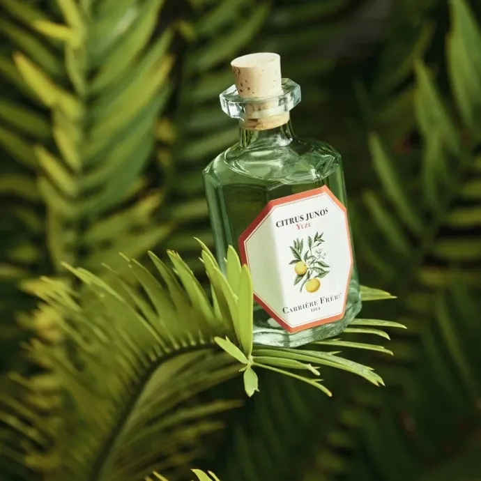 Carrière FrèresYuzu - Citrus Junos Diffuseur de Parfum