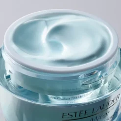 ESTEE LAUDERDayWear                Crème Hydratation 24h Multi-Protection Anti-Oxydant SPF 15 Pour Peaux Normales/Mixtes