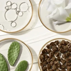 ESTEE LAUDERRevitalizing Supreme+                Crème Délicate Révélatrice de Jeunesse