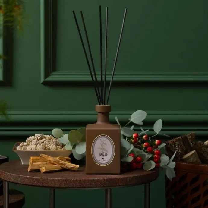 EtroVétiver Diffuseur d'Ambiance