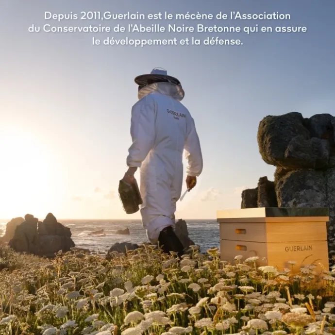 GUERLAINAbeille Royale Baume Réparateur Jeunesse Des Mains