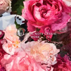 GUERLAINAqua Allegoria Rosa Rossa                Eau de Toilette