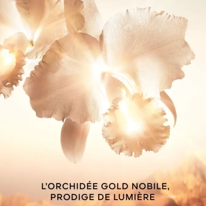 GUERLAINOrchidée Impériale Gold Nobile Le Soin Concentré Regard - La Recharge