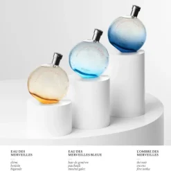 HERMÈSEau des Merveilles Bleue                Recharge Eau de Toilette