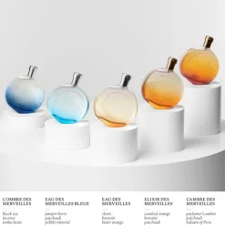HERMÈSEau des Merveilles                Recharge Eau de Toilette