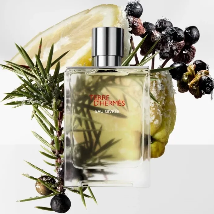 HERMÈSTerre d'Hermès Eau Givrée Recharge Parfum