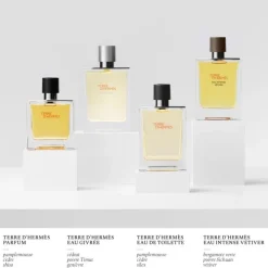 HERMÈSTerre d'Hermès Eau Givrée Recharge Parfum