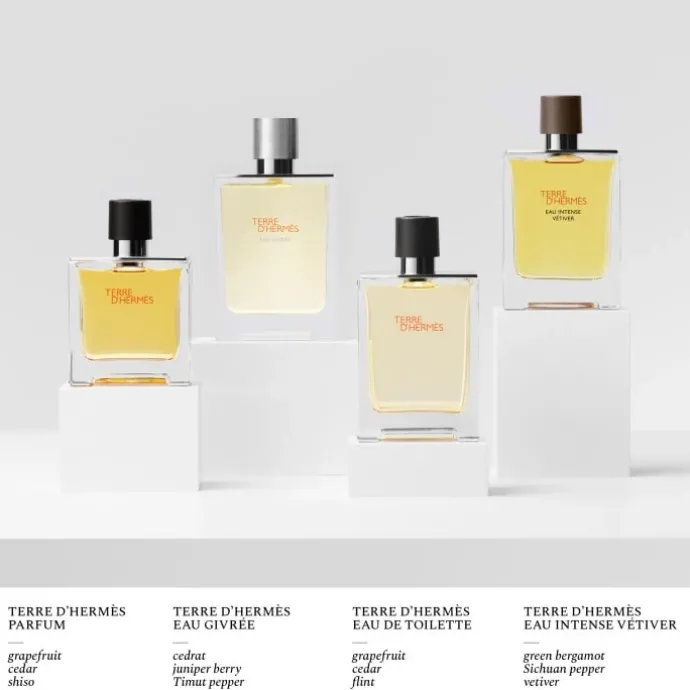 HERMÈSTerre d'Hermès Eau Givrée Recharge Parfum