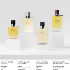 HERMÈSTerre d'Hermès Eau Givrée Recharge Parfum