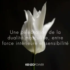 Kenzo Power Eau de Toilette