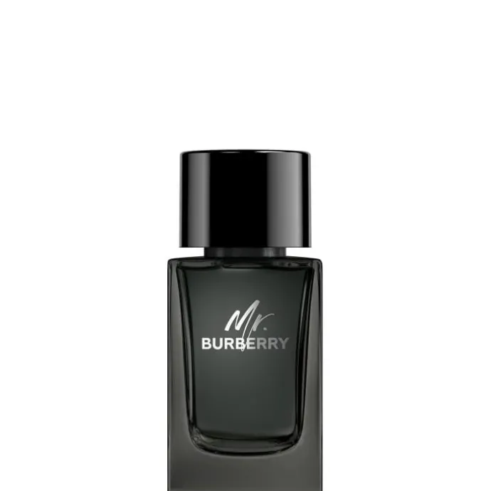 Mr. Burberry Eau de Parfum