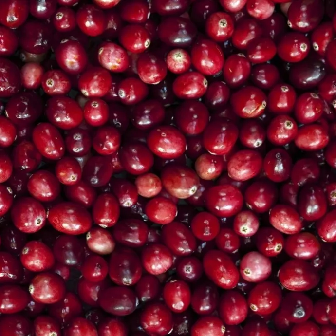 Ralph LaurenBig Pony Women Eau de Toilette