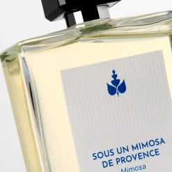 RéminiscenceSous un Mimosa de Provence - Mimosa Eau de Toilette Intense