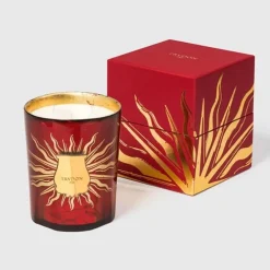 TrudonAstral Gloria - Bois et Épices                Bougie Intermède