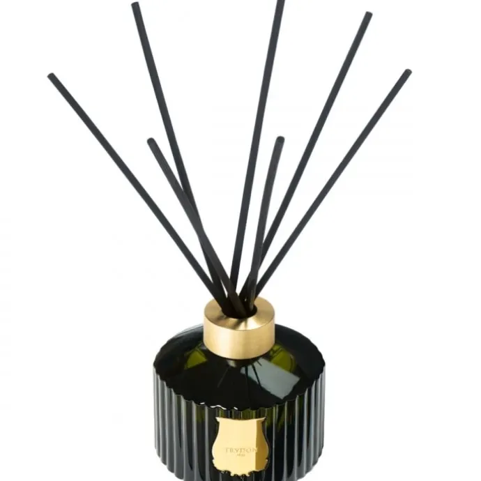 TrudonErnesto Le Grand Diffuseur
