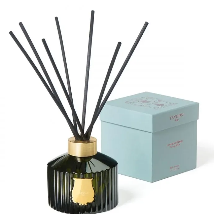 TrudonErnesto Le Grand Diffuseur