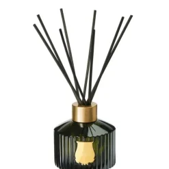 TrudonGabriel                Diffuseur d'Ambiance