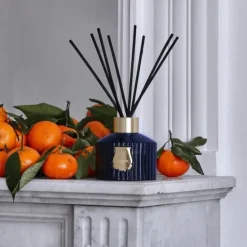 TrudonReggio Diffuseur d'Ambiance