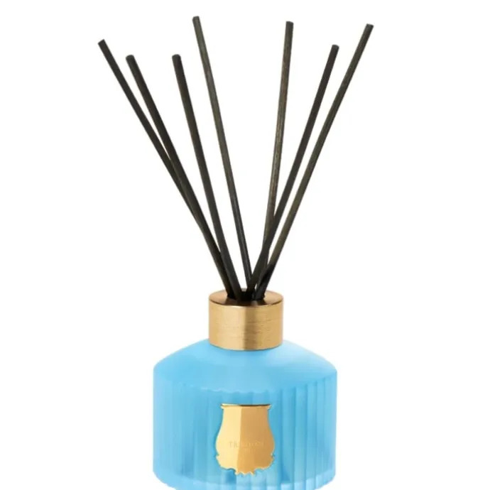TrudonVersailles Diffuseur d'Ambiance