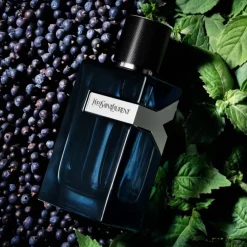 YVES SAINT LAURENTY Eau de Parfum Intense