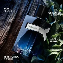 YVES SAINT LAURENTY                Recharge Eau de Parfum